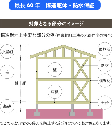 60年躯体