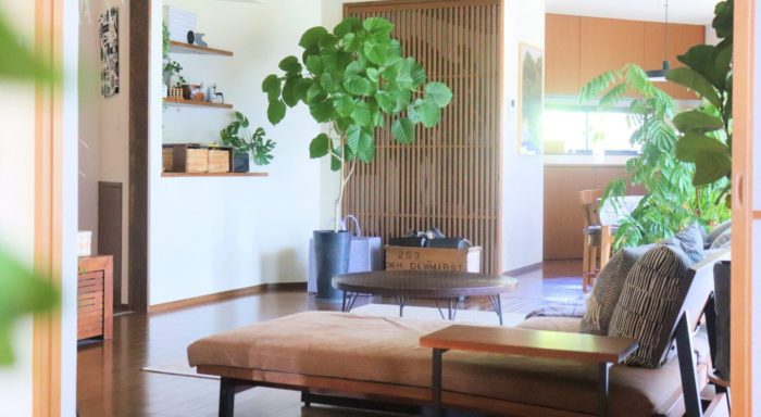 インテリアグリーンを取り入れて癒しと安らぎの空間に 熊本の新築一戸建て 建売 分譲地ならアネシス 公式