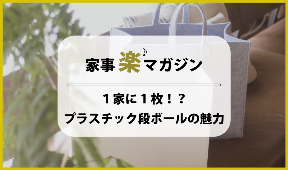 1家に1枚！？ プラスチックダンボールの魅力と使用例を熱く語る！