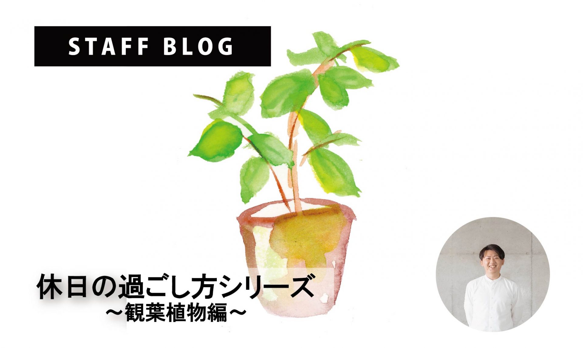 休日の過ごし方シリーズ～観葉植物編～