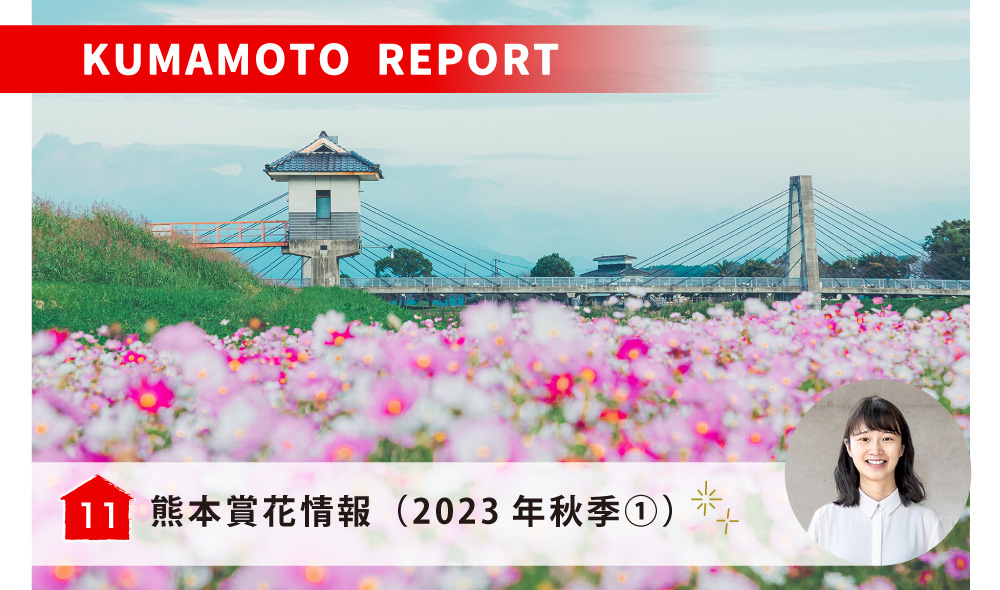 熊本賞花情報（2023年秋季①）