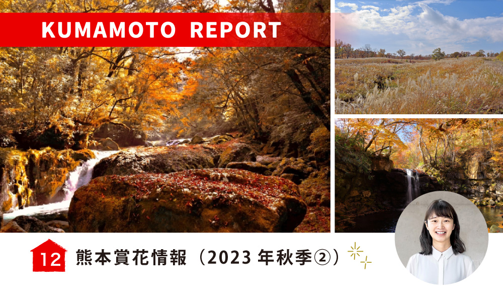 熊本賞楓情報（2023年秋季②）