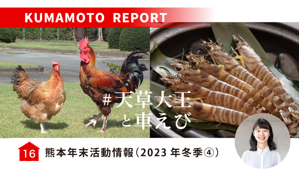 熊本年末活動情報（2023年冬季④）／夢幻地雞「天草大王」和明蝦季