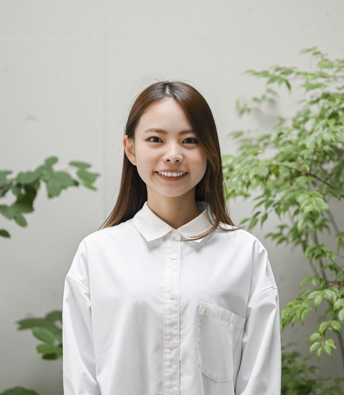 柳 智子