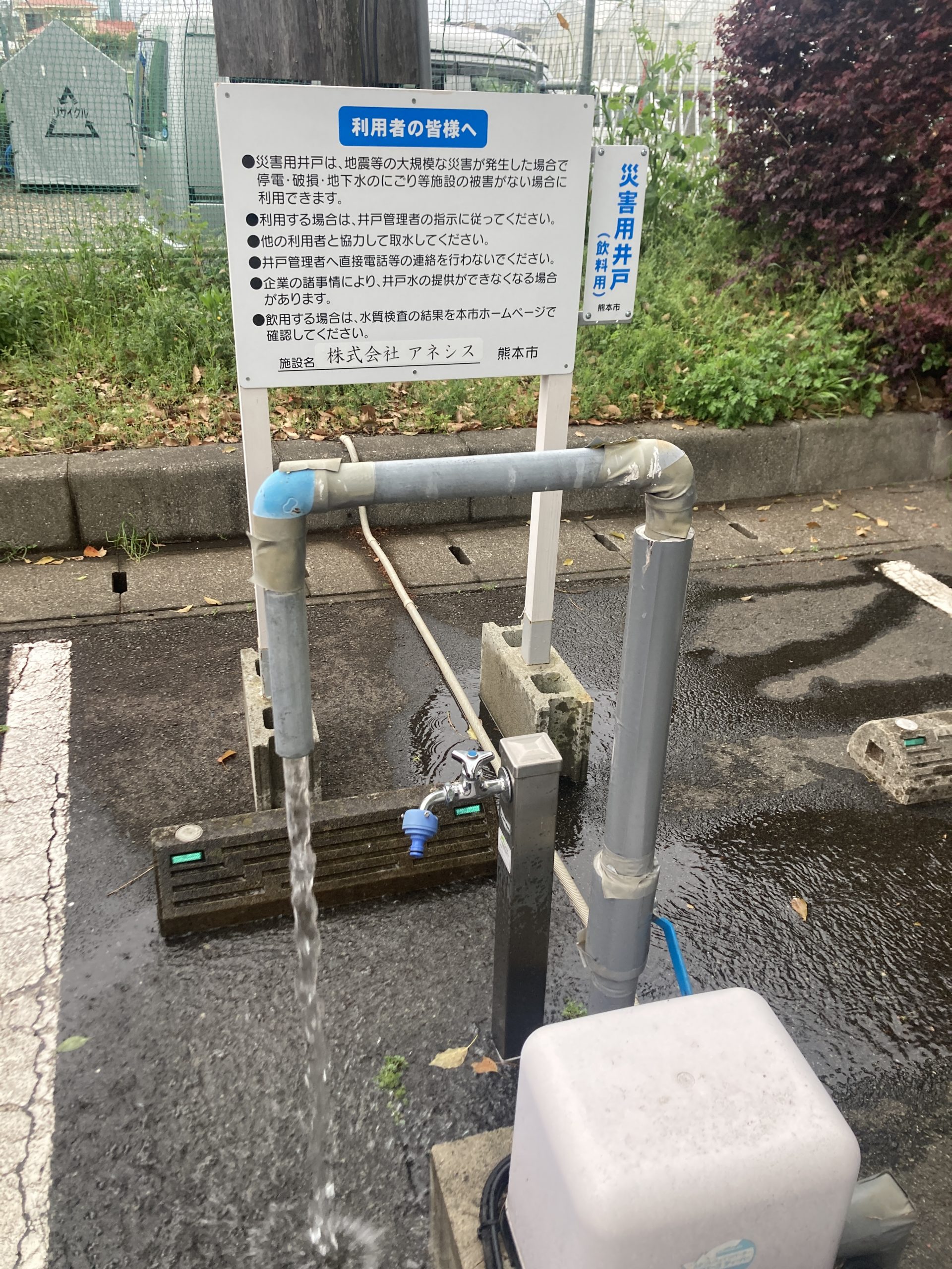 井戸